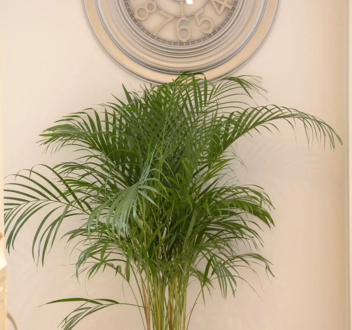 San Pietro Luxury Relais Bed & Breakfast Rome Italy